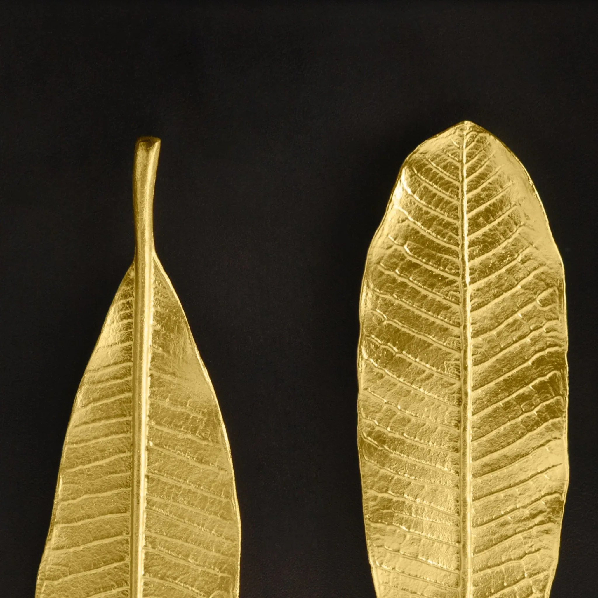 Champa Leaf Shadow Box - Gold - Image 4