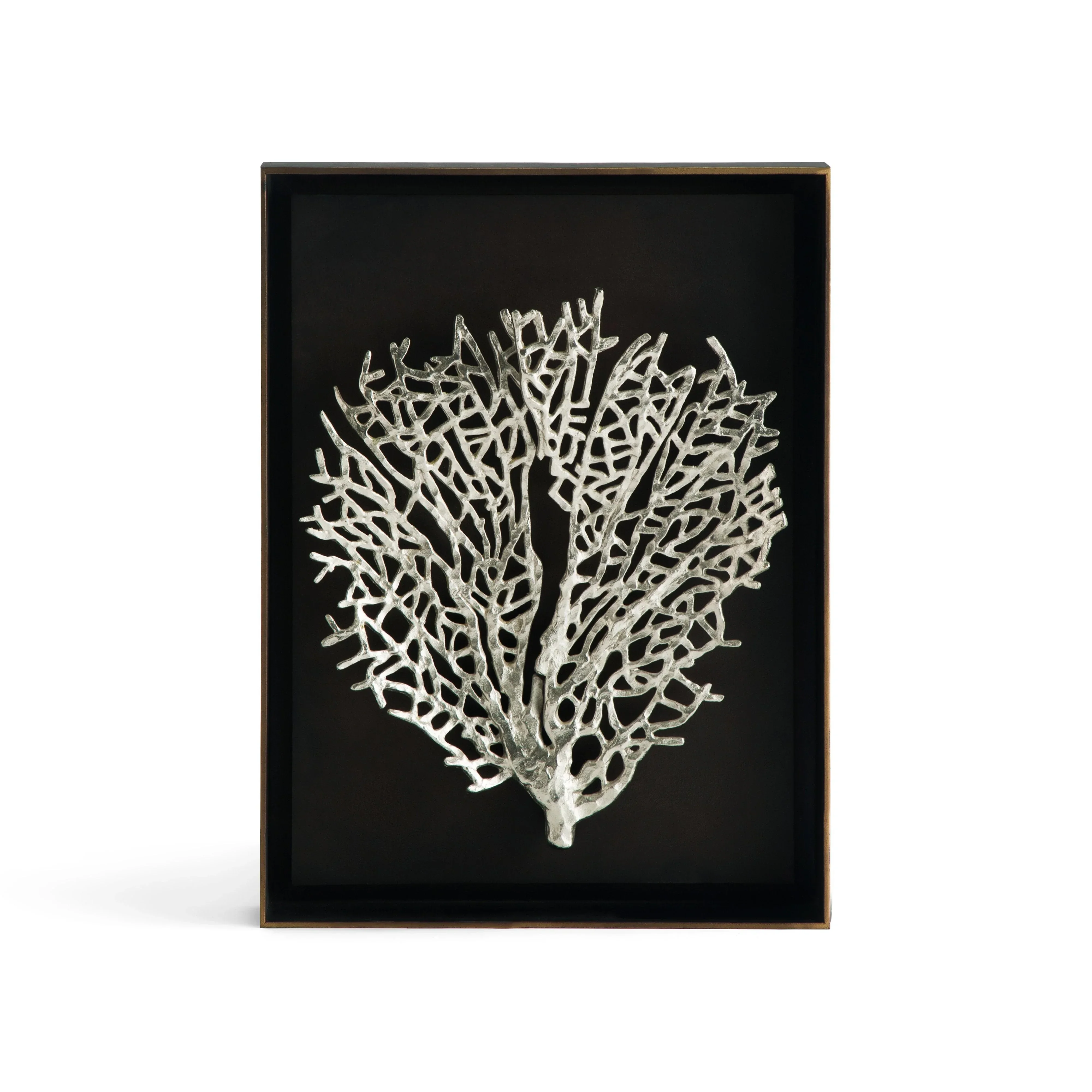 Fan Coral Shadow Box - Image 5