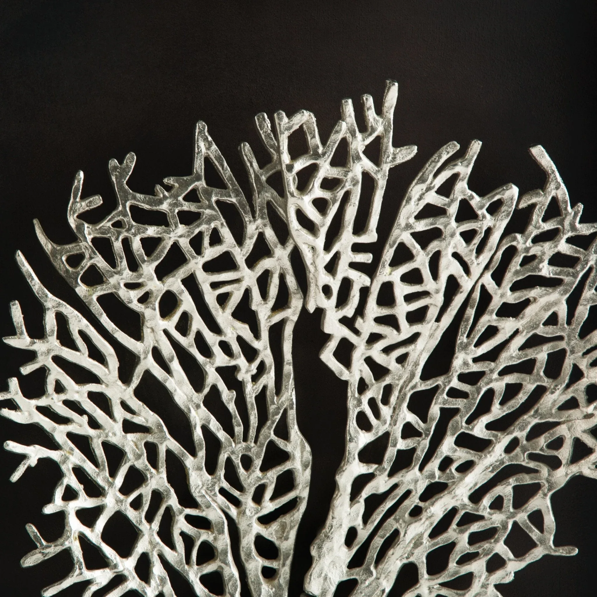 Fan Coral Shadow Box - Image 6