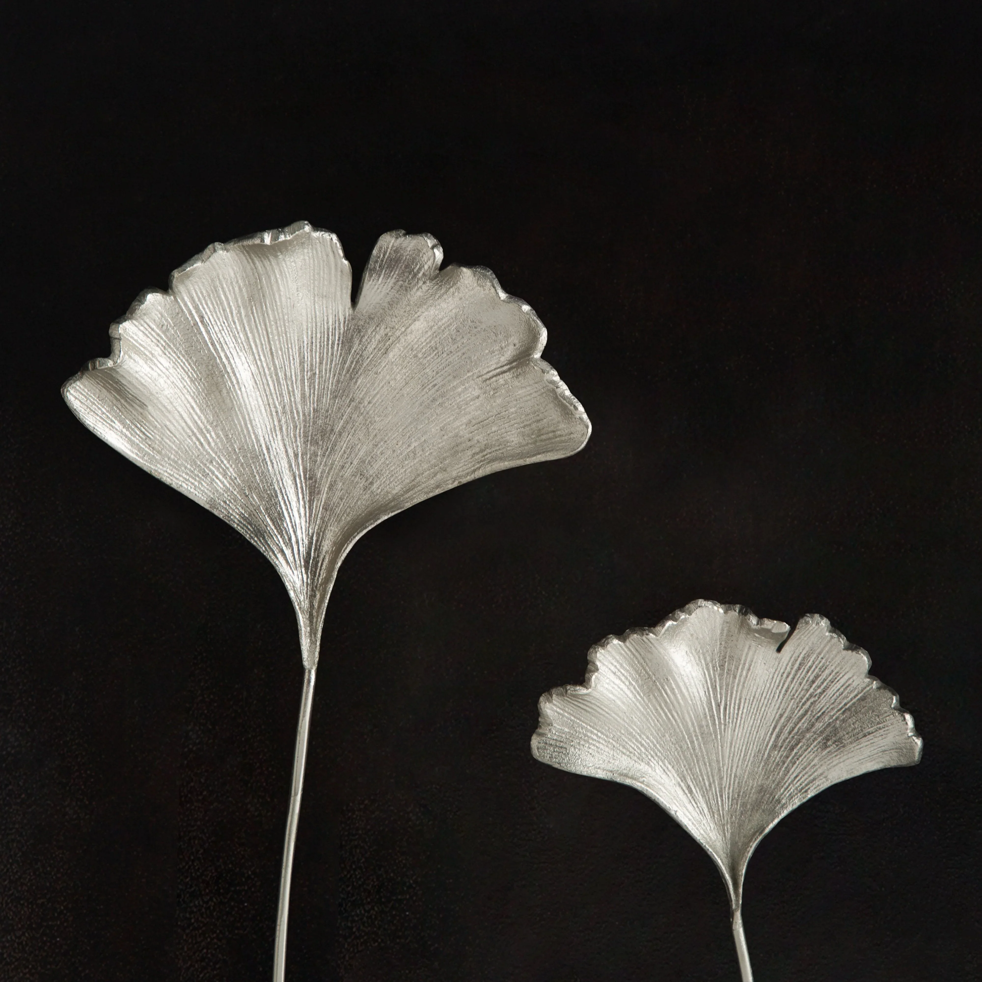 Ginkgo Leaf Shadow Box - Image 8