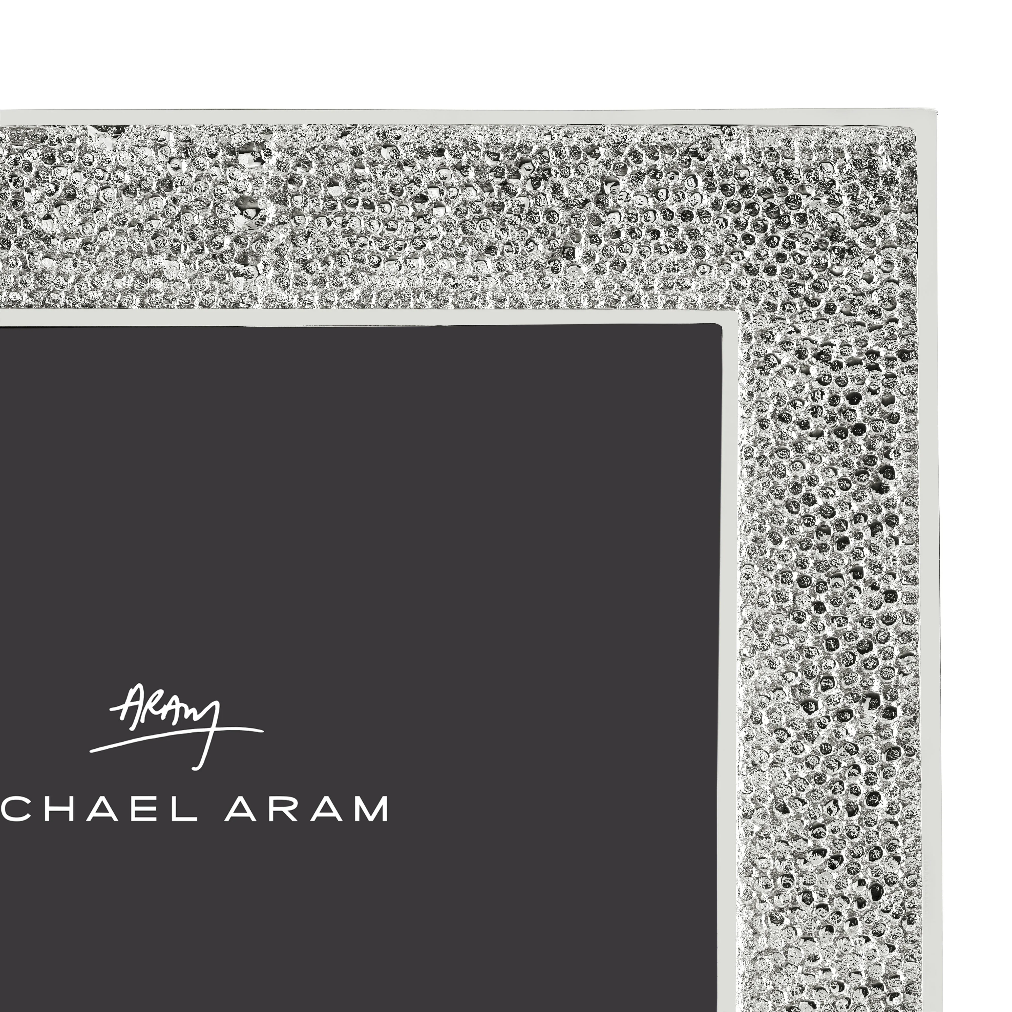Shagreen Frame - Image 14
