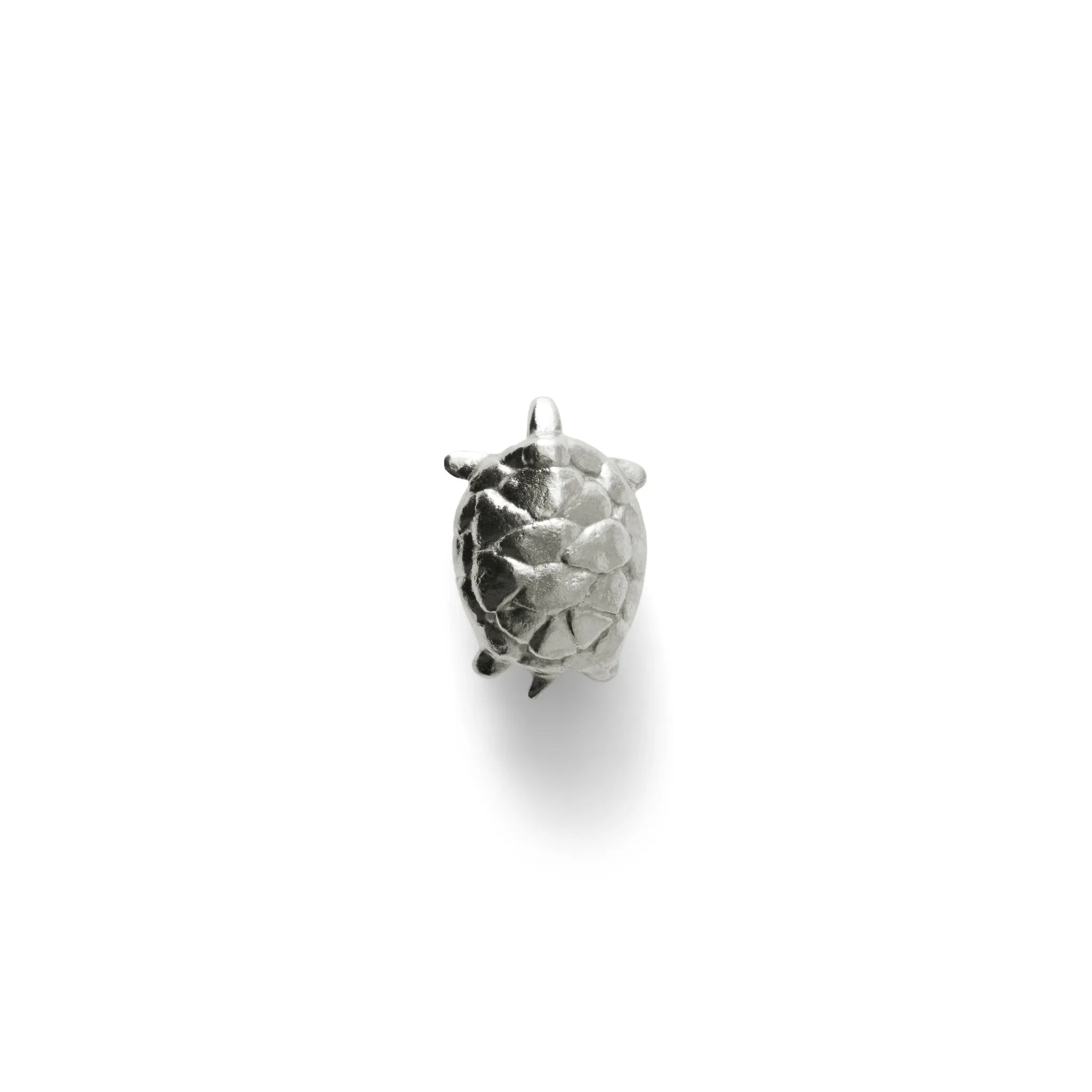 Turtle Hardware Knob